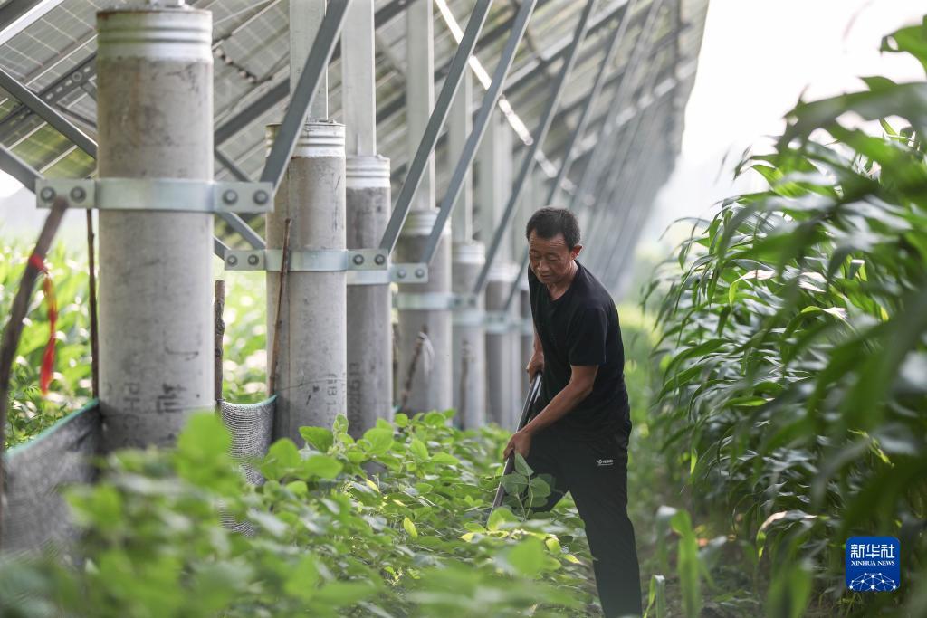 去澳门赌博都有哪些玩法